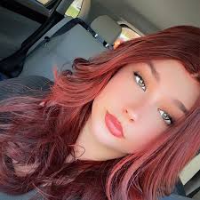 🩵The Picasso Bug🩵