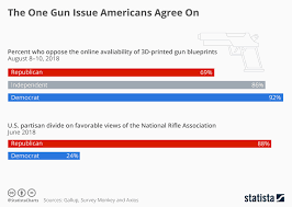 Chart The One Gun Issue Americans Agree On Statista