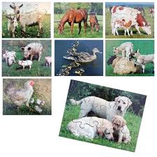 That's what jeremy biome wondered in our weird animal question of the week: Farm Animals And Their Young Jigsaws Science From Early Years Resources Uk