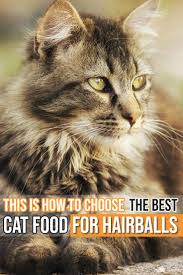 Felineliving Net Best Cat Food Cat Nutrition Cat Care