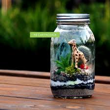 Image Result For Diy Mason Jar Terrarium Mason Jar Terrarium Diy Succulent Terrarium Succulent Terrarium