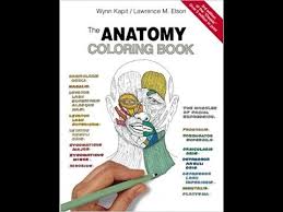 With the kaplan medical anatomy coloring book, students will benefit from realistic illustrations, key word reviews, explanatory paragraphs, and the the kaplan medical anatomy coloring book offers medical students the opportunity to learn by coloring detailed sketches of systems of the body and. Flip Through The Anatomy Coloring Book Youtube
