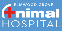 If you need a dog hospital or a feline hospital, look no further than island vet group. Homepage Elmwood Grove Animal Hospital