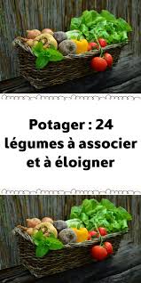 Potager 24 Legumes A Associer Et A Eloigner Potager Facile Potager Jardin De Legumes