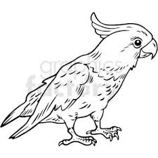 Bird Cartoon Pictures Black And White Black And White Realistic Parrot Vector Clipart Royalty Free Clipart 411805 In 2020 Vector Clipart Black And White Cartoon Clip Art
