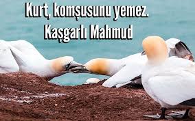 Komsuluk Ile Ilgili Sozler Komsulugun Anlamini Anlatan En Guzel Ve Anlamli Resimli Sozleri Icerigimizden Bulabilirsiniz Release Dove Release Animals
