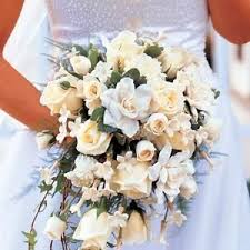 Check spelling or type a new query. Phillip S Flowers Gifts Elmhurst Il Elmhurst Il Wedding Flowers