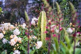 Whether you're a local, new in town, or just passing through, you'll be sure to find something on eventbrite that piques your interest. Half Moon Bay Container Garden Wildflower Farms