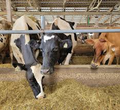 Farm and Dairy 9-7-23 by Farm and Dairy Newspaper - Issuu