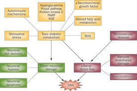 Image result for Autonomic Dysfunction