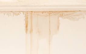 Whatever the source is, it is decaying ceiling paint. Why You Shouldn T Ignore Ceiling Water Stains