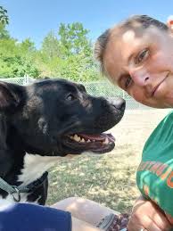 My Dog Shelter Friends @ The Richland County Dog Shelter