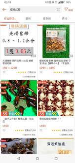 #櫻桃紅蟑 蟑螂雖說人見人怕， 但還是有人把蟑螂當成寶的， 影片中這種蟑螂是櫻桃紅蟑， 拿來做為飼料用的，餵食青蛙! Ajgytsahr9j Cm