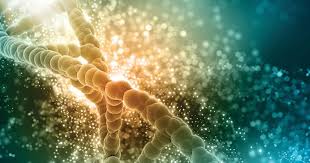 Image result for Humularia