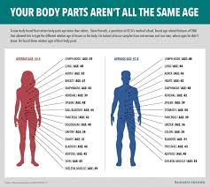 A detailed description of the 7 different body shapes. Some Parts Of Your Body Age Faster