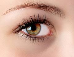 Pin tillagd av elsa susan pa make up. Welcher Lidschatten Fur Braun Grune Augen So Schminken Sie Sich Dezent