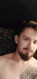 Wiggle Ears Thomas Meyers GIF