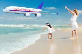 Image result for airplane advertising