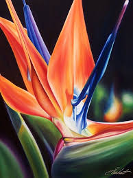 Painting Oil Painting Bird Of Paradise Flower Pin On Tattoos That I Love