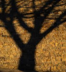 We follow you during all the steps of purchasing an house, guiding you through in's and out's of purchasing a property in piemonte. Langhe Property By Richard Edwards English Piedmont Real Estate Agent In Alba Piedmont Italy Homes For Sale In Langhe Monferrato Roero