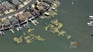 Recharge, rediscover and experience all that discovery bay has to offer. Toxic Water In Discovery Bay Prompts Warnings From Health Officials Cbs San Francisco