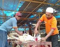 Sebutkan tata cara penyembelihan secara. Penyembelihan Hewan Religious Studies Quizizz