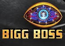 Bigg Boss Hindi Season 14 Wikipedia However, before earning an entry into the house, each contestant has to go through an assessment taken by bigg boss seniors. bigg boss hindi season 14 wikipedia
