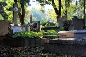 A hölgy ugyan soha nem találkozott lassan harminc éve halott, híres rokonával, de a sírjához rendszeresen kijár a farkasréti. A Farkasreti Temetorol Hamvasztas Hu Hamvasztas Temetkezes