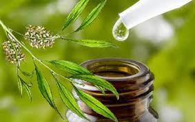 Tea tree oil, also known as melaleuca oil, is an essential oil distilled from the leaves of the native australian plant melaleuca alternifolia. Kebaikan Tea Tree Oil