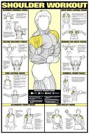 Www Buyamag Com Bodybuilding Posters Exercise Workout Charts