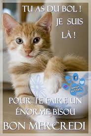 Epingle Par Boyer Sur Facebook En 2020 Bon Mercredi Bonjour Et Bonne Journee Dessin Humour