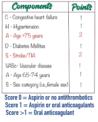 Image result for CHAD Score