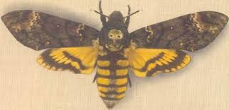 Economic importance of insect pests. Beneficial And Harmful Insects Zoology For Ias Ifos And Other Competitive Exams