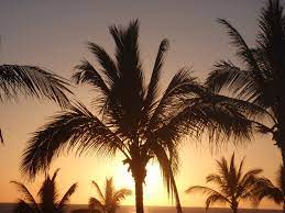 Mazatlan Mexico Travel Travel Memories Favorite Places