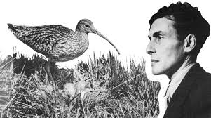 Ralph Wightman Archives