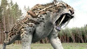 10 Of The Most Recently Extinct Animals In The World Youtube