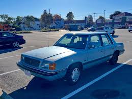 Image result for Diamond White 1994 Reliant