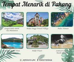 Aku tak risau sangat sebab pakcik aku banyak kali naik bukit fraser bawa rombongan guna bas. Facebook