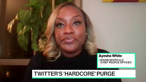 Employment Expert Ayesha Whyte Talks Tech Layoffs