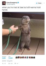 99 Relationship Memes That Are So Funny You May Actually Injure Yourself Laughing Check out these funny relationship memes that will leave you laughing. 99 relationship memes that are so funny