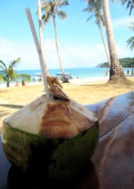 Coconut Beach Thailand Coconuts Beach Tropical Paradise Tropical Islands