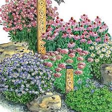 Ein Insektenbeet Fur Jede Jahreszeit Garten Gestalten Staudenbeet Vorgarten Anlegen