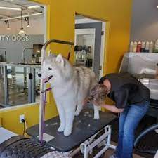 Maybe you would like to learn more about one of these? Best Dog Grooming Near Me July 2021 Find Nearby Dog Grooming Reviews Yelp