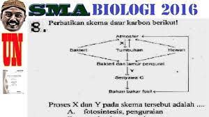 We did not find results for: Skema Daur Karbon Un Sma Biologi 2016 No 08 Youtube