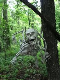 Check spelling or type a new query. 33 Creepy And Odd Things Found In The Woods Creepy Gallery