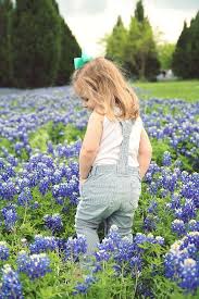 Bluebonnet Fields In Dallas Get The Best Photos Blue Bonnets Dallas Moms Blog Photo