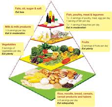 Your Nutrition Guide The Malaysia Food Pyramid Sustagen