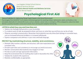 Image result for Psychological First Aid