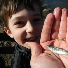 Leon P. Martuch Chapter of Trout Unlimited