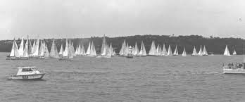 Sydney to Hobart shark ruins